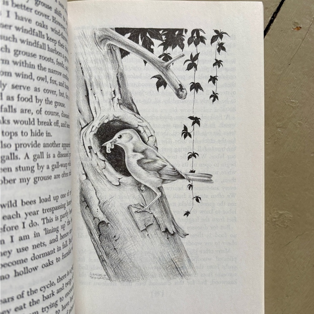 1968 A Sand County Almanac Aldo Leopold Nature Sketches Season Naturalist Gift - Picture 5 of 10